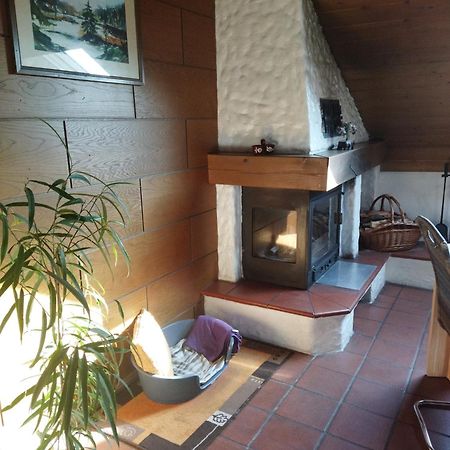 Aussergewoehnliche Atelierferienwohnung Mit Balkon An Der Donau Winzer 외부 사진