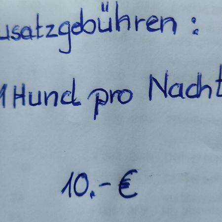 Aussergewoehnliche Atelierferienwohnung Mit Balkon An Der Donau Winzer 외부 사진