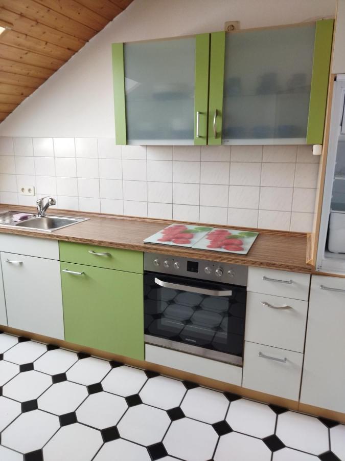 Aussergewoehnliche Atelierferienwohnung Mit Balkon An Der Donau Winzer 외부 사진