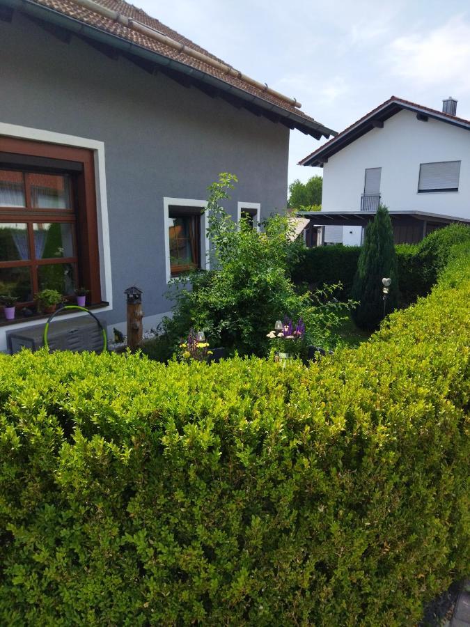 Aussergewoehnliche Atelierferienwohnung Mit Balkon An Der Donau Winzer 외부 사진