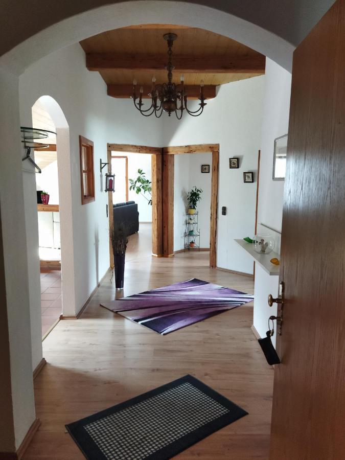 Aussergewoehnliche Atelierferienwohnung Mit Balkon An Der Donau Winzer 외부 사진
