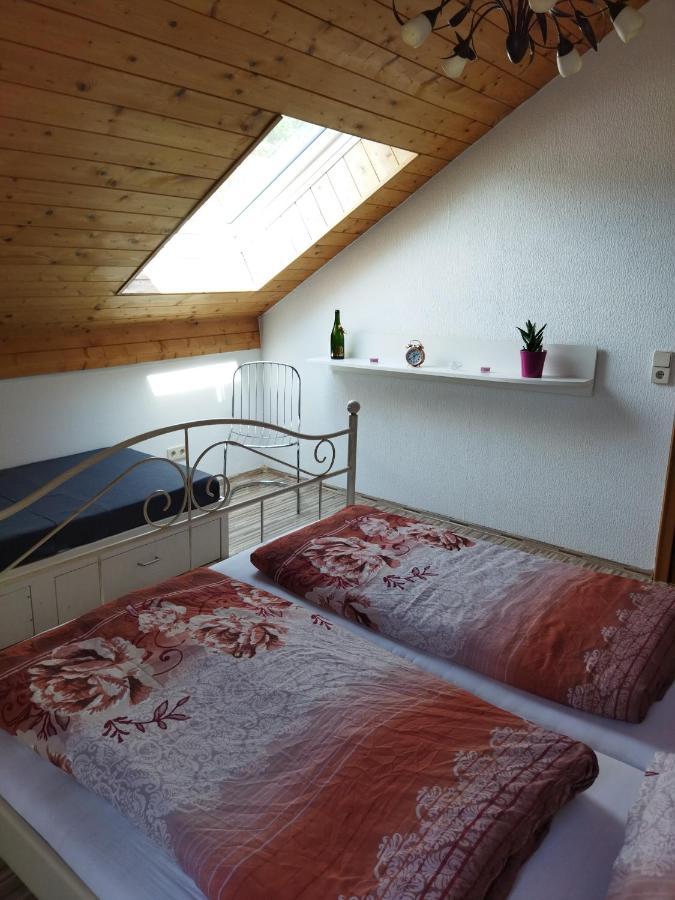 Aussergewoehnliche Atelierferienwohnung Mit Balkon An Der Donau Winzer 외부 사진