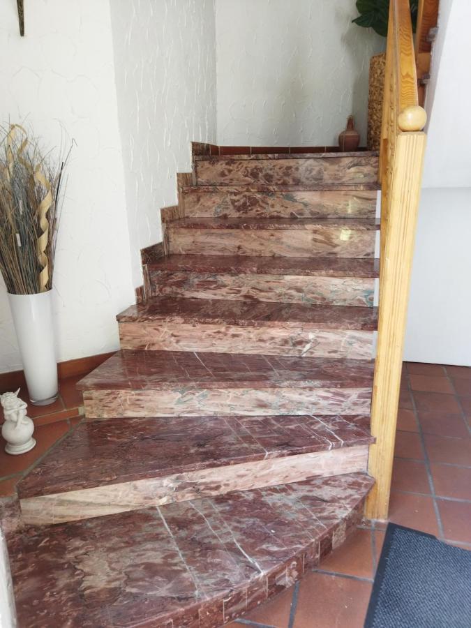 Aussergewoehnliche Atelierferienwohnung Mit Balkon An Der Donau Winzer 외부 사진