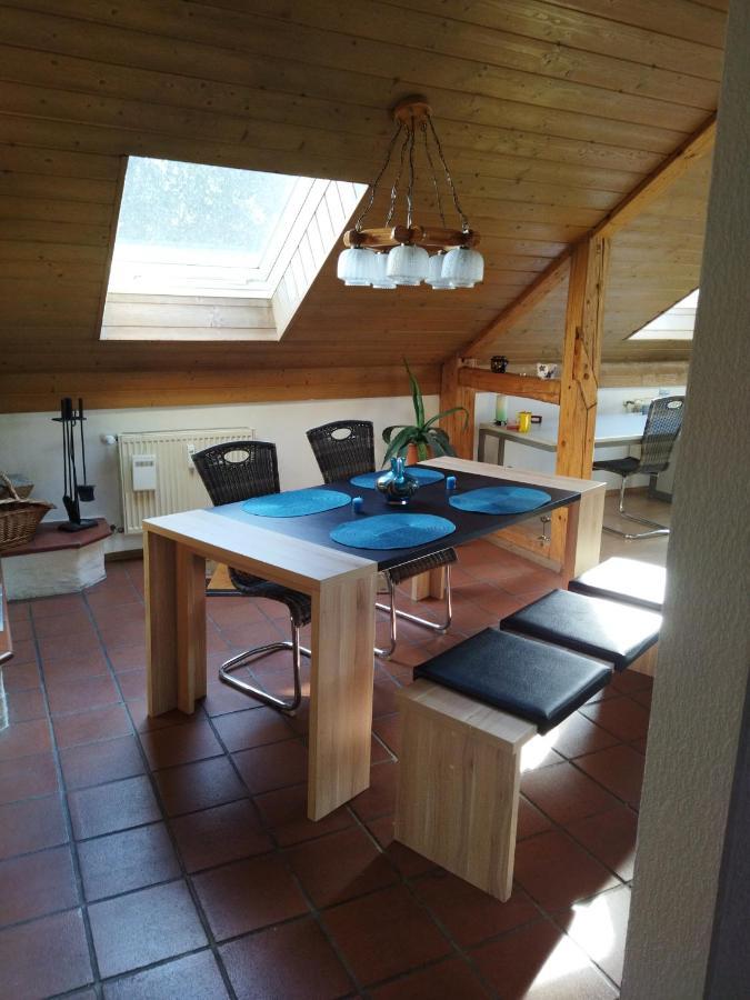 Aussergewoehnliche Atelierferienwohnung Mit Balkon An Der Donau Winzer 외부 사진