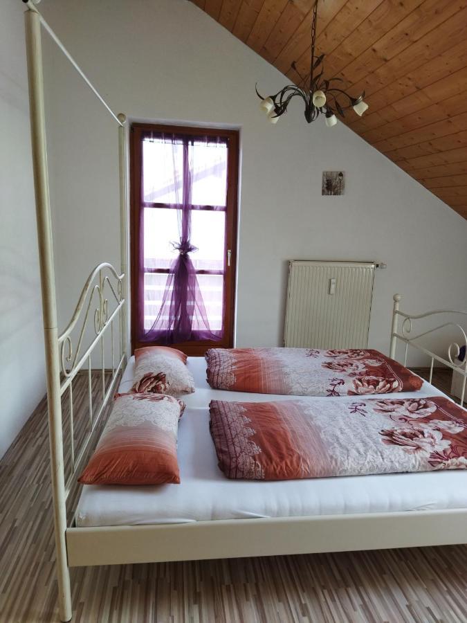 Aussergewoehnliche Atelierferienwohnung Mit Balkon An Der Donau Winzer 외부 사진