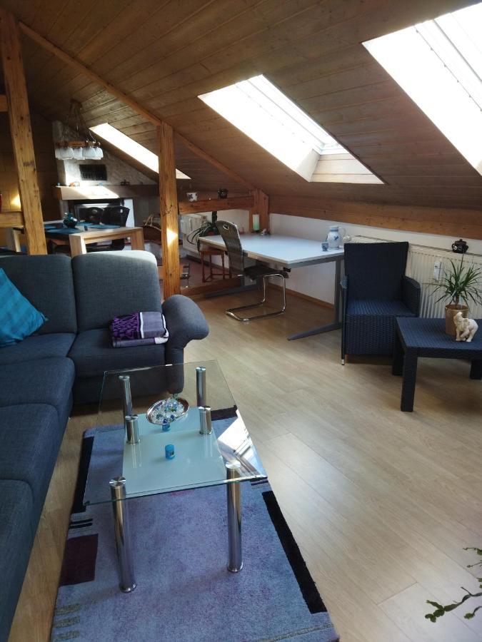 Aussergewoehnliche Atelierferienwohnung Mit Balkon An Der Donau Winzer 외부 사진