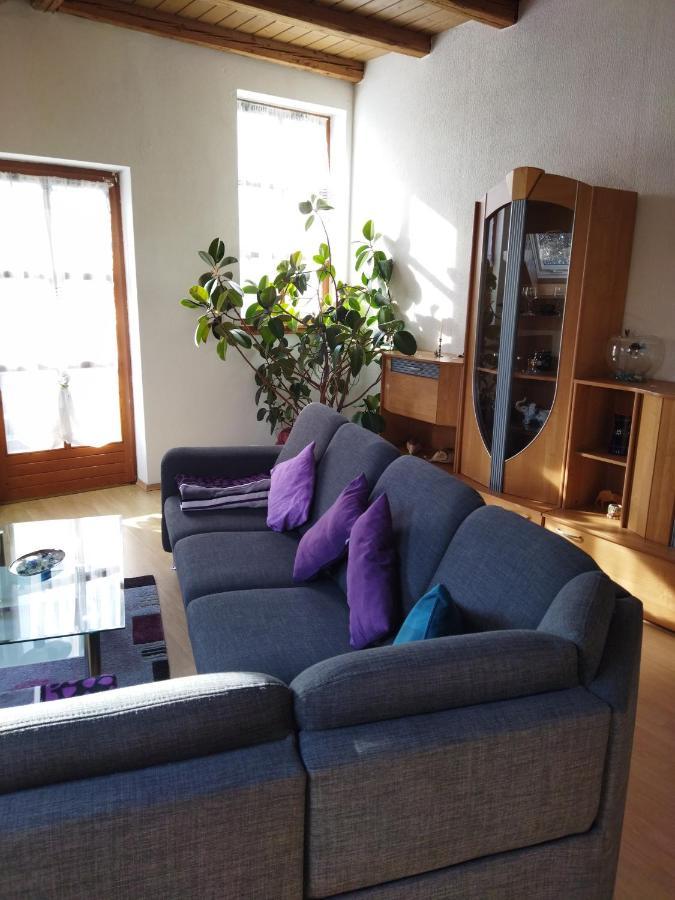 Aussergewoehnliche Atelierferienwohnung Mit Balkon An Der Donau Winzer 외부 사진