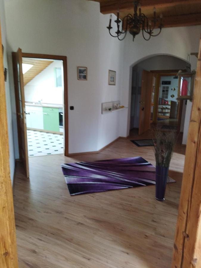 Aussergewoehnliche Atelierferienwohnung Mit Balkon An Der Donau Winzer 외부 사진