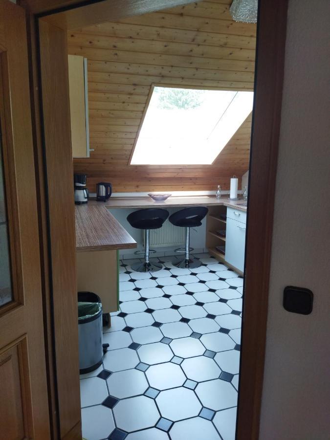 Aussergewoehnliche Atelierferienwohnung Mit Balkon An Der Donau Winzer 외부 사진