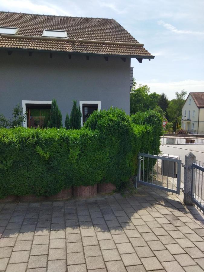 Aussergewoehnliche Atelierferienwohnung Mit Balkon An Der Donau Winzer 외부 사진