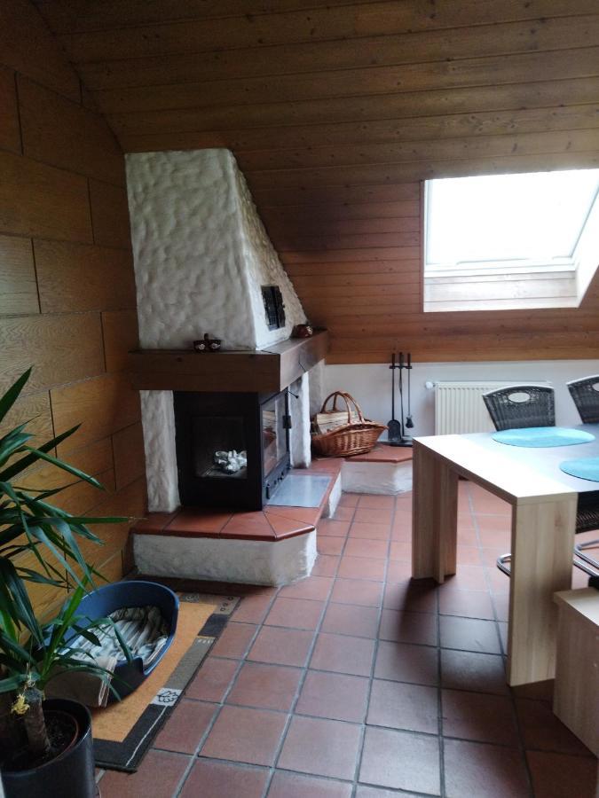 Aussergewoehnliche Atelierferienwohnung Mit Balkon An Der Donau Winzer 외부 사진