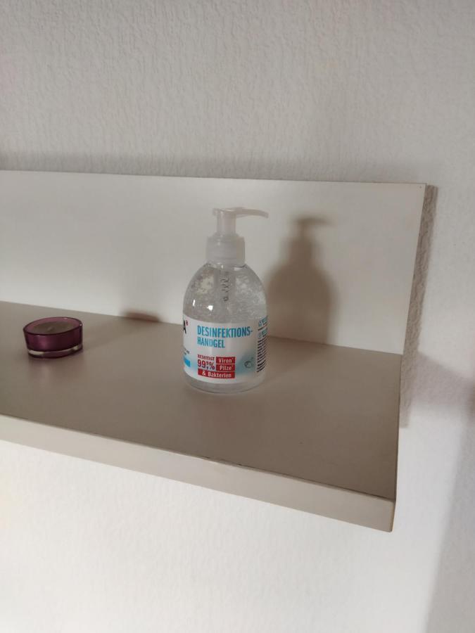 Aussergewoehnliche Atelierferienwohnung Mit Balkon An Der Donau Winzer 외부 사진