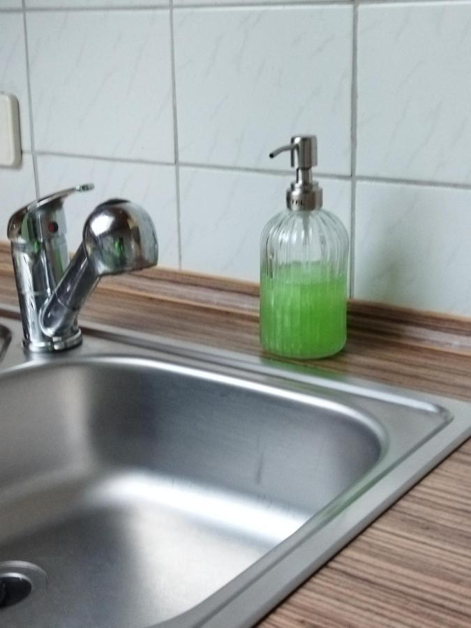 Aussergewoehnliche Atelierferienwohnung Mit Balkon An Der Donau Winzer 외부 사진