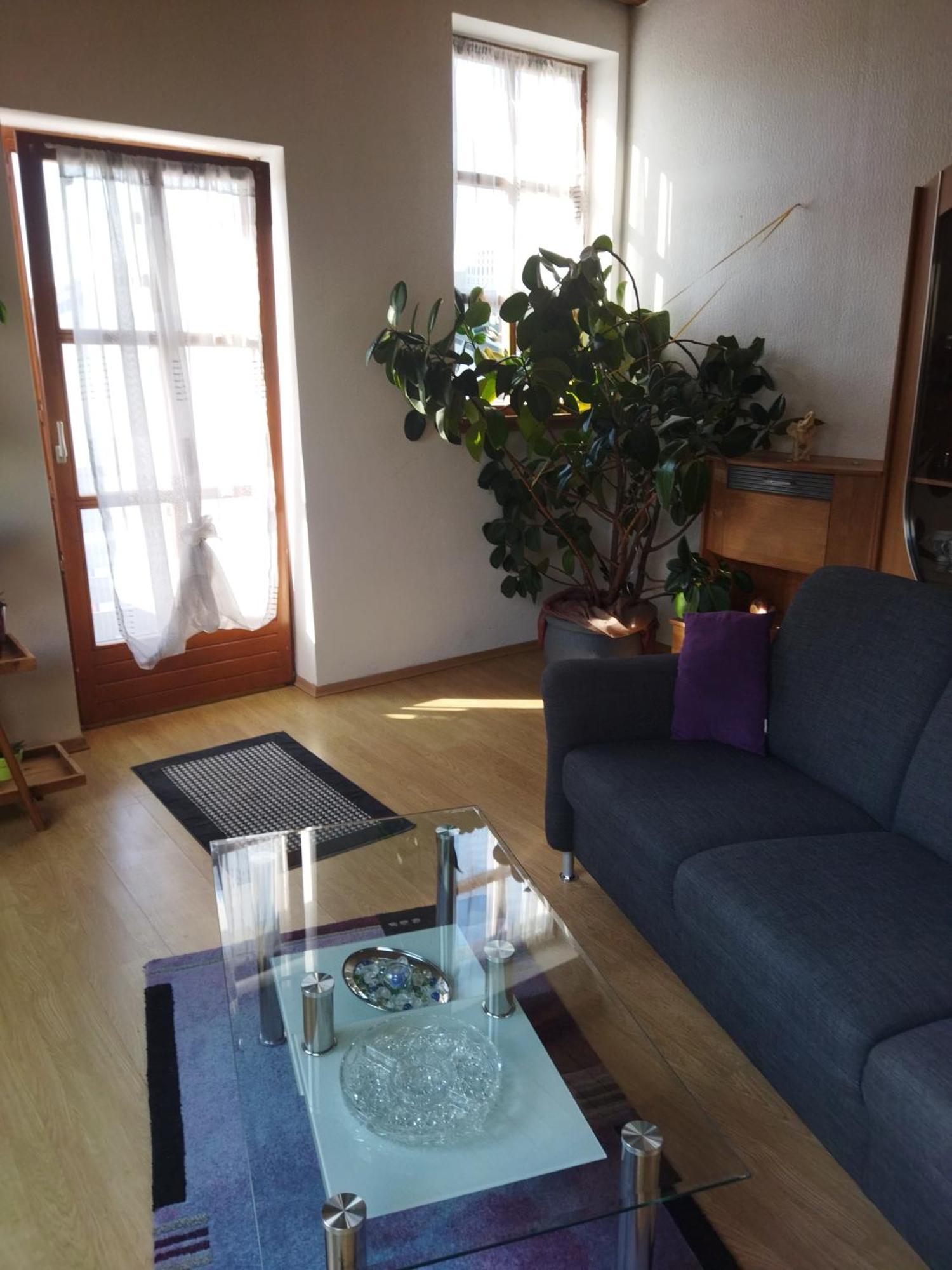Aussergewoehnliche Atelierferienwohnung Mit Balkon An Der Donau Winzer 외부 사진